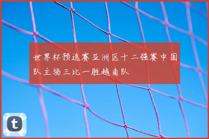 世界杯预选赛亚洲区十二强赛中国队主场三比一胜越南队