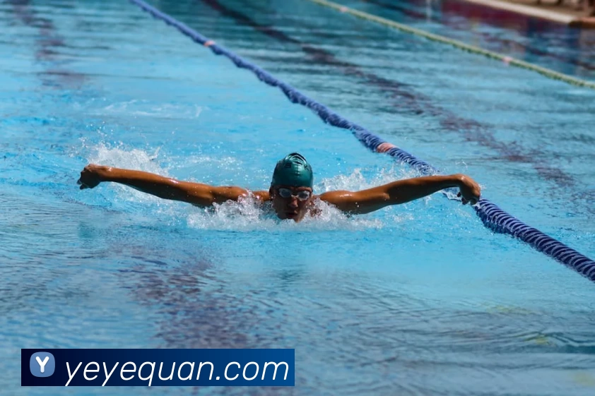 多媒体互动体验